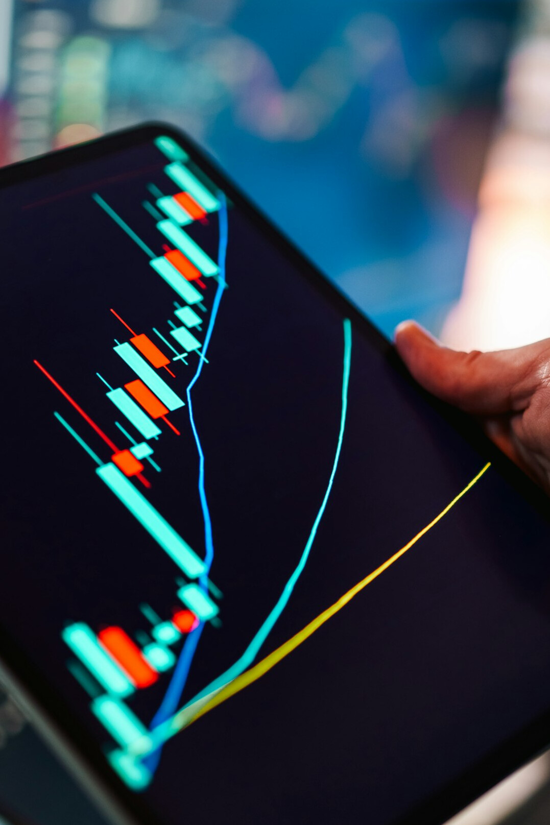 investor checking portfolio